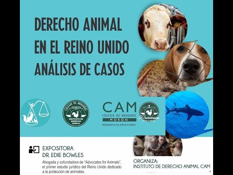 DERECHO ANIMAL EN EL REINO UNIDO