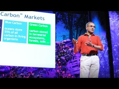 Pavan Sukhdev: Put a value on nature!