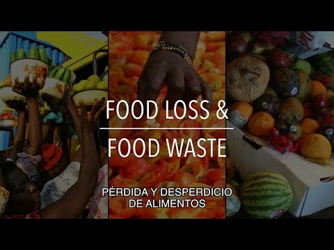 FAO Serie sobre políticas: Pérdida y desperdicio de alimentos (con subtítulos)