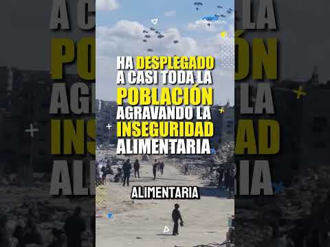 Crisis alimentaria global: Millones afectados por conflictos y cambio climático