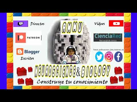 Leemos noticias del Blog de Microbacterium.