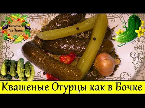 Рецепт Квашеных Огурцов в Банках как из Бочки