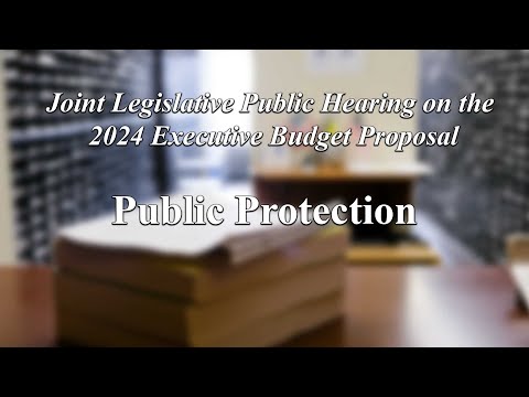 Joint Legislative Public Hearing on 2024 Executive Budget Proposal: Public Protection - 01/25/2024