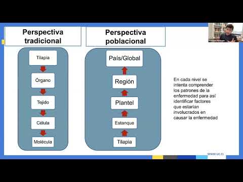 Perspectiva epidemiológica de los factores determinantes de la salud y bienestar en la acuicultura