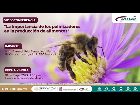 VIDEOCONFERENCIA: La Importancia de los polinizadores en la producción de alimentos | CITEDI IPN