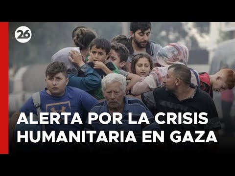 Alerta por la crisis humanitaria en Gaza