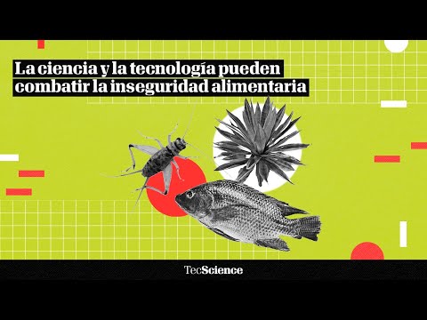 ¿Cómo combatir la inseguridad alimentaria con la ciencia y la tecnología?