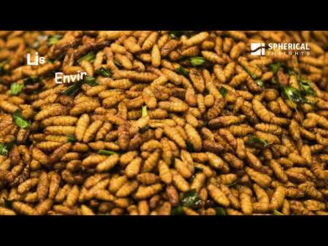 Insect Feed Market 2025: Sustainable Protein Revolution in Animal Nutrition