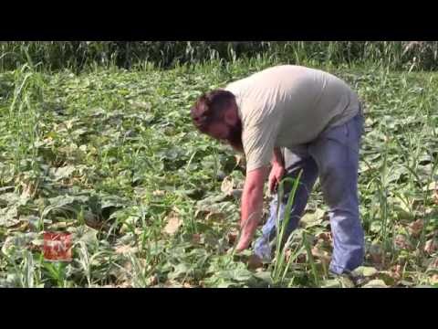 Cul2vate: Farming at Ellington Agricultural Center