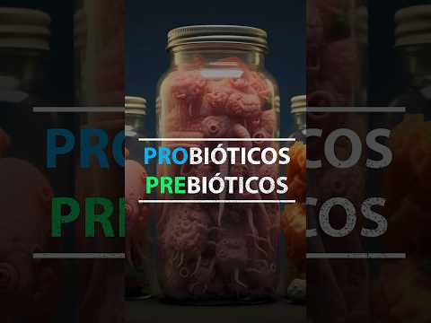 Probióticos y Prebióticos | Microbiota intestinal | Alimentos para la salud intestinal